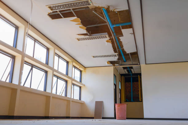 Best Basement water damage restoration  in David City, NE