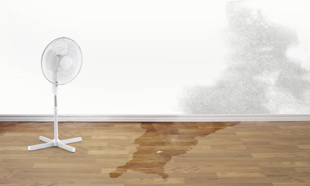 Best 24-hour water damage restoration  in David City, NE