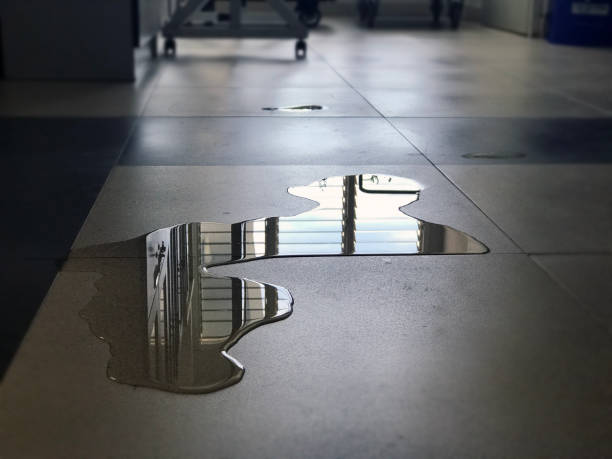 Best Professional water damage repair  in David City, NE