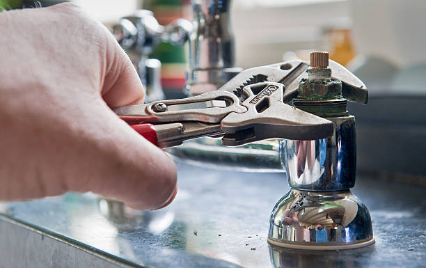 Best Mold removal after water damage  in David City, NE