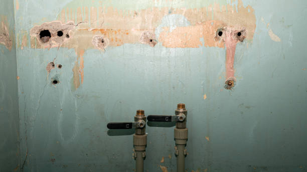Best Water damage restoration near me  in David City, NE