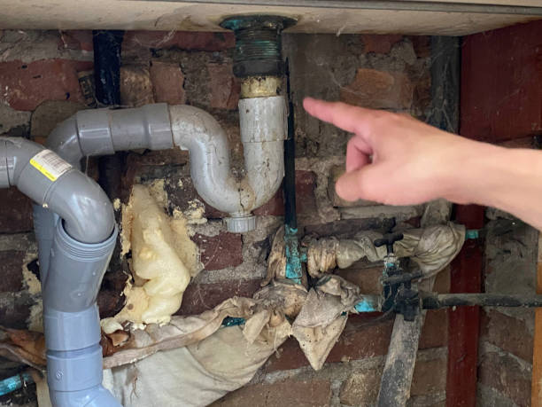 Trusted David City, NE Water damage restoration Experts