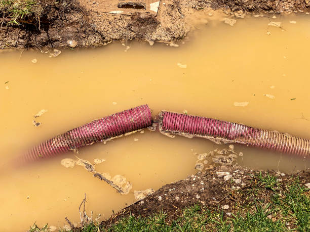 Best Sewage cleanup and water damage restoration  in David City, NE