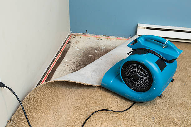Best Flood restoration services  in David City, NE